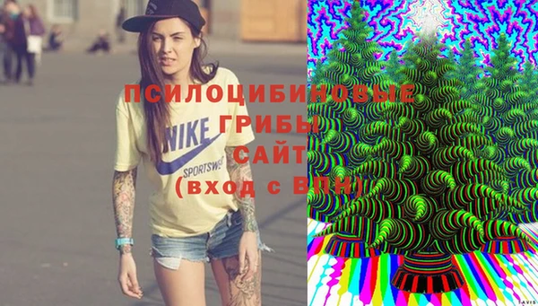 скорость Алексин